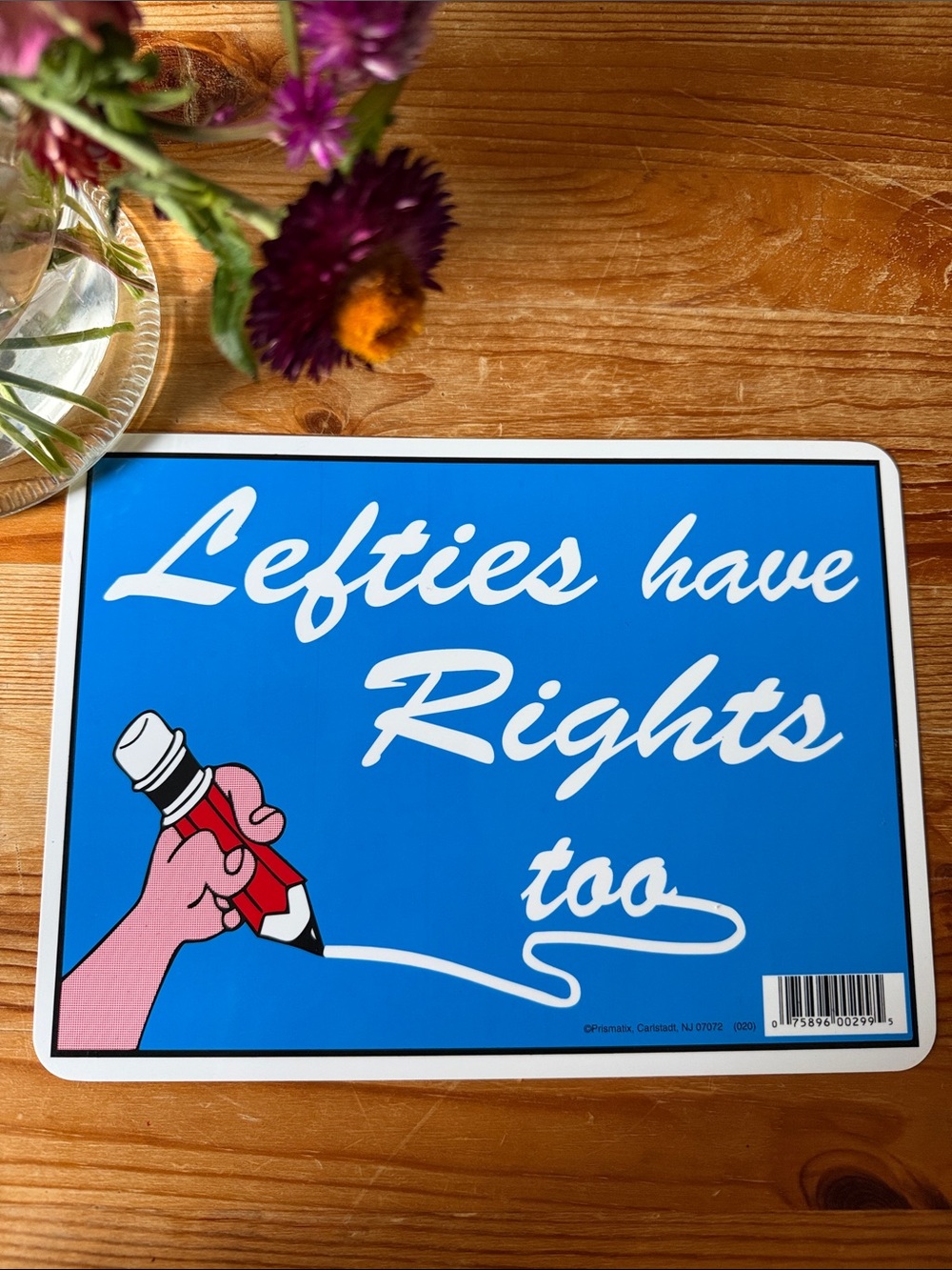 Vintage Lefties Have Rights Too Sign